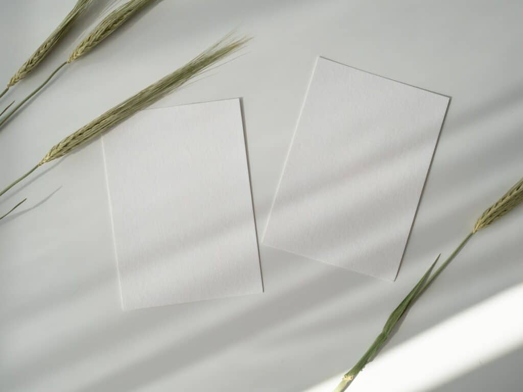 Two blank white cards on a plain surface with shadows cast upon them from natural light, accompanied by several stalks of wheat that add an organic touch to the composition. The arrangement suggests a serene and clean design, often used in stationery mock-ups.