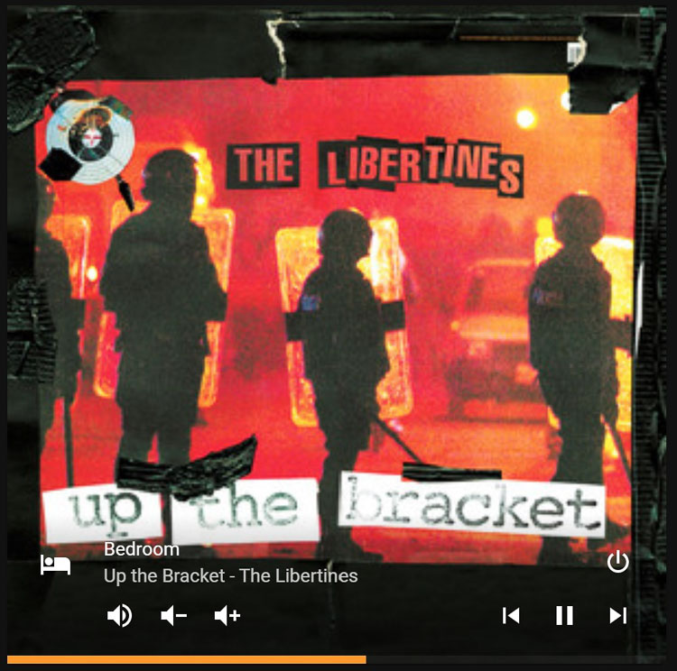 How to use the Mini Media Player card in Home Assistant