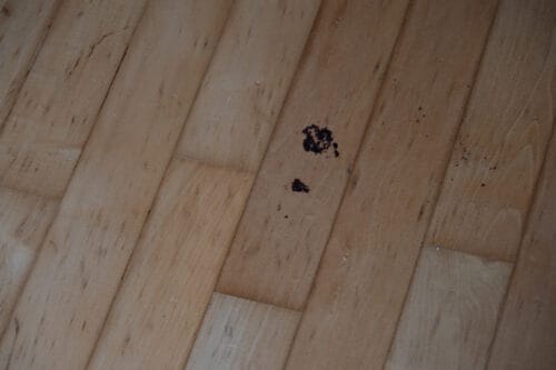 Chocolate cake on a hard wood floor that the Xiaomi Mi Robot Vacuum Mop 1C wasn't able to clean.