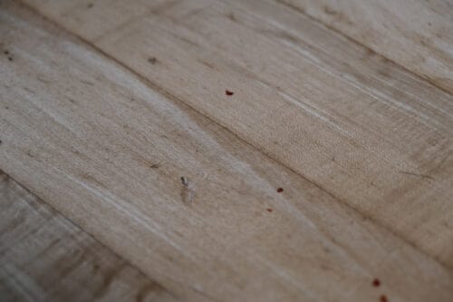 Crumbs from a chocolate cake on a hard wood floor that the Xiaomi Mi Robot Vacuum Mop 1C wasn't able to pick up.