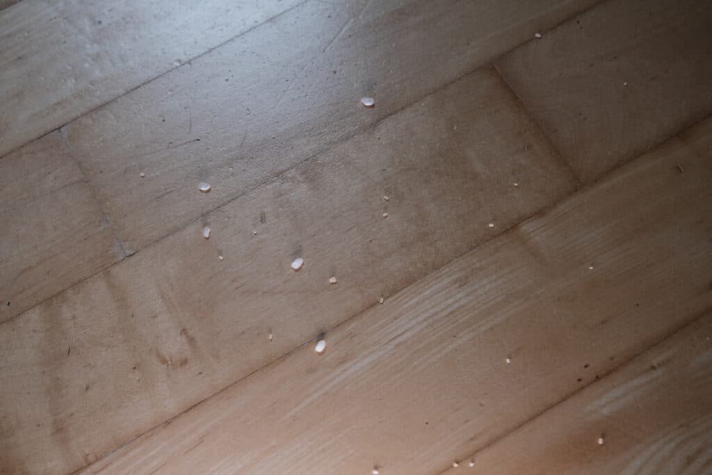 Leftover flour and rice on a hard wood floor after being cleaned by the Xiaomi Mi Robot Vacuum Mop 1C