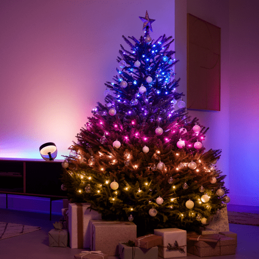 A Christmas tree decorated with Hue Festavia lights.